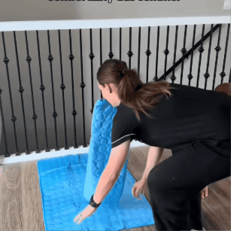 Pawluxe Cooling Mat