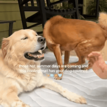 Pawluxe Cooling Mat