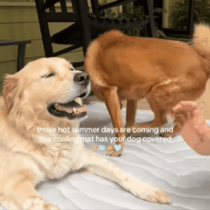 Pawluxe Cooling Mat