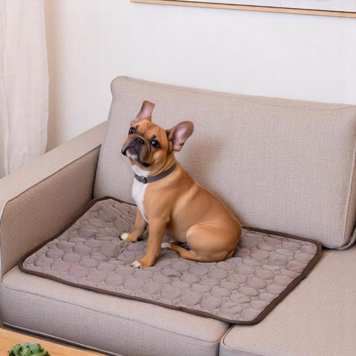 Chill Paws Cooling Mat