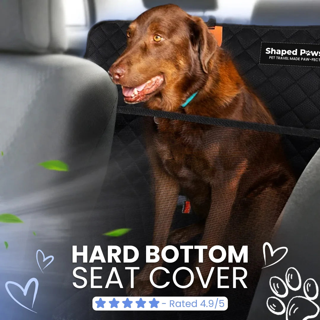 Comfy Pet Car Companion