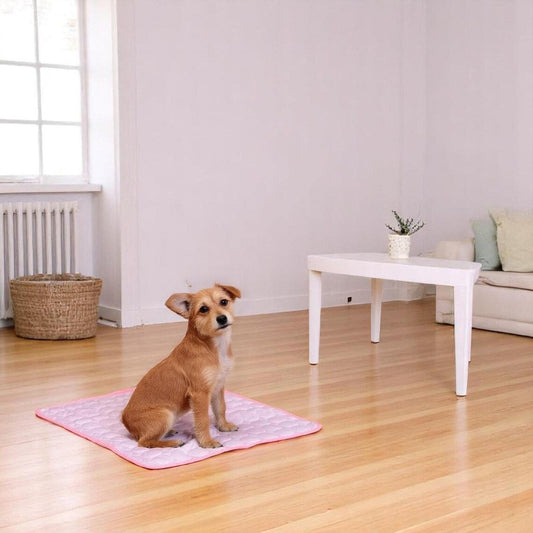 Pawluxe Cooling Mat