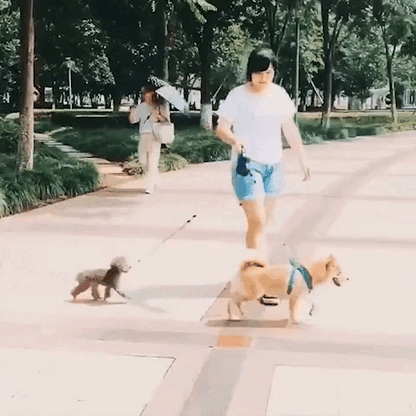 Dualuxe™️Dog Leash